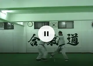Hapkido Technique