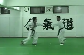 Hapkido kicks