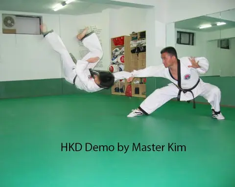 Hapkido techniques by Master Kim (3)
