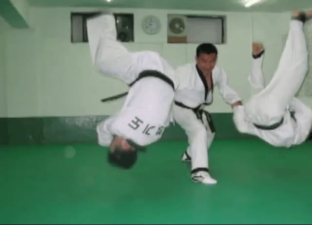 GM Kim trains Hapkido & Taekwondo with his students