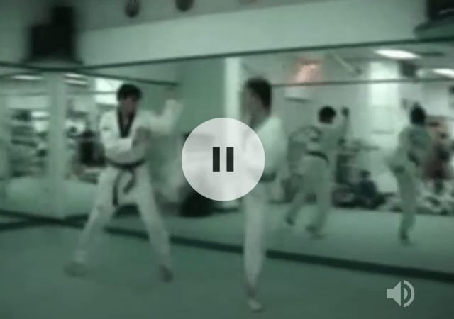 GM Kim performs Hapkido techniques